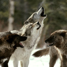 Схема вышивки «№2796435»