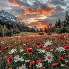 Схема вышивки «горный луг»