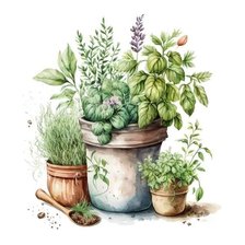 Схема вышивки «Прованские травы»