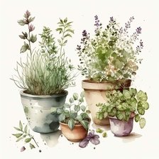 Схема вышивки «Прованские травы»