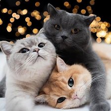 Схема вышивки «Семейка»