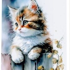 Схема вышивки «Котёнок»