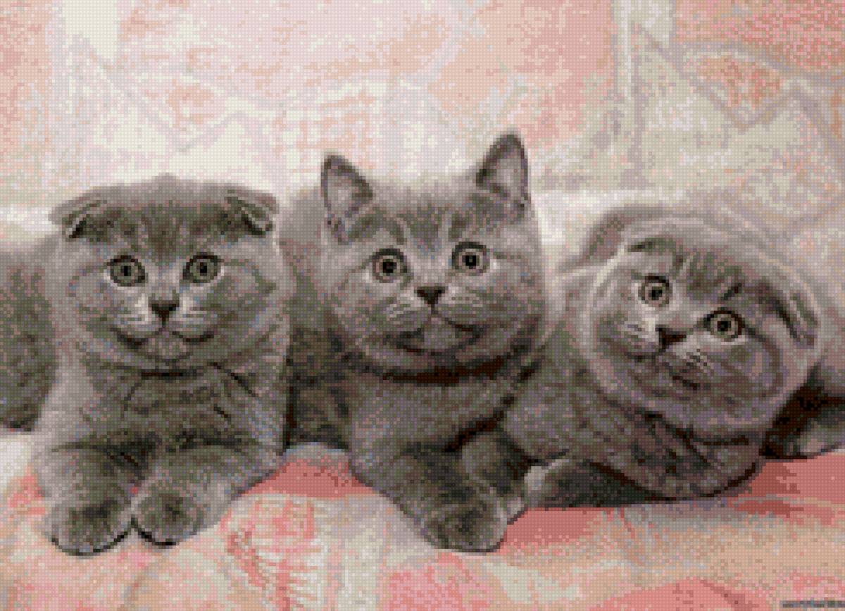 британия - предпросмотр