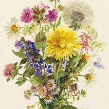 Схема вышивки «Полевые цветы»