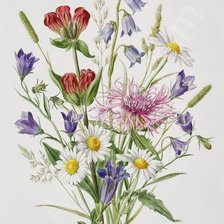 Схема вышивки «Полевые цветы»
