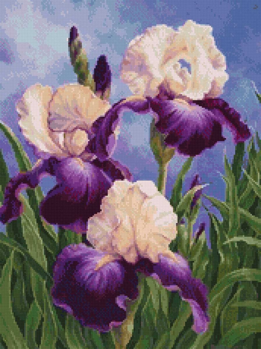 №2798843 - ирисы, до 240 крестиков - предпросмотр