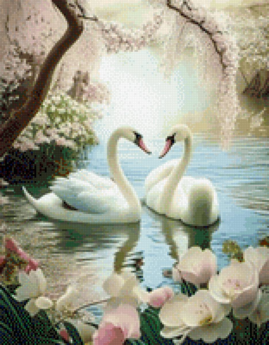 Лебединая любовь - предпросмотр