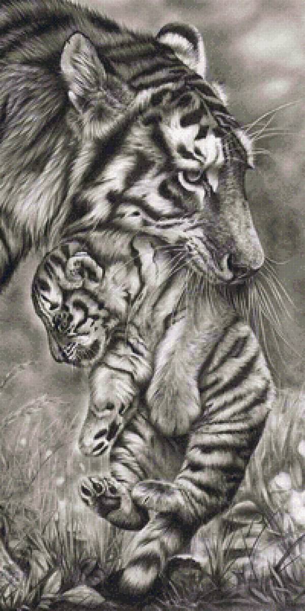 №2798977 - предпросмотр