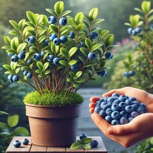 Схема вышивки «№2799338»