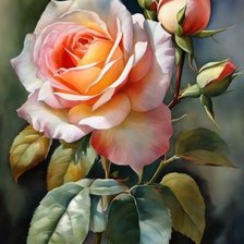 Схема вышивки «РОЗА»