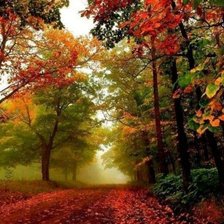 Схема вышивки «Осень»