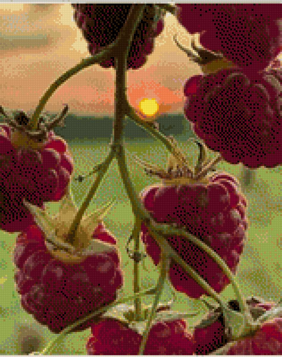 Малина - ягода малина - предпросмотр