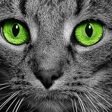 Схема вышивки «№2800278»