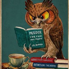 Схема вышивки «Búho lector»