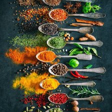 Схема вышивки «Condimentos»