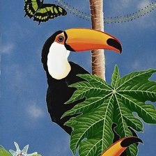 Схема вышивки «Trio de tucanes»