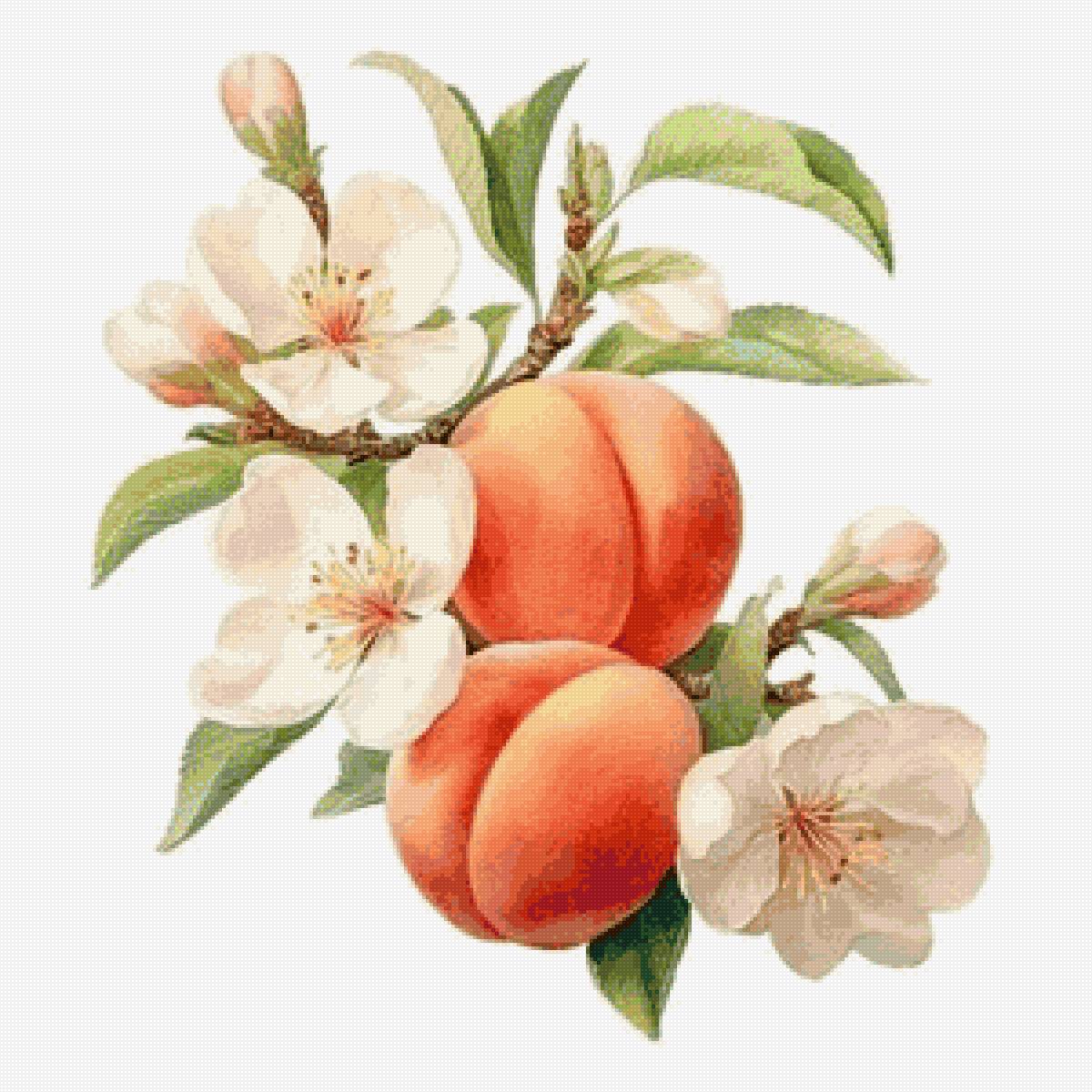 №2801418 - предпросмотр