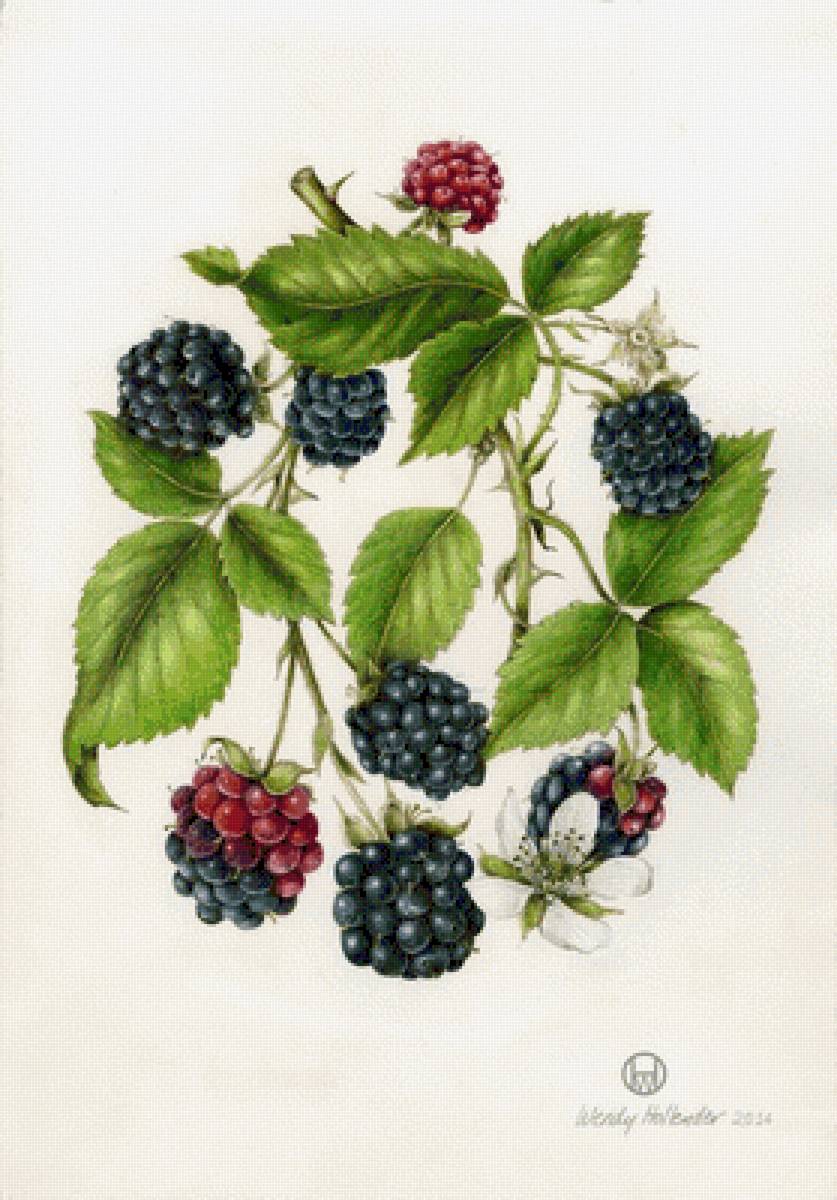 №2801423 - предпросмотр