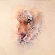 Схема вышивки «№2801477»