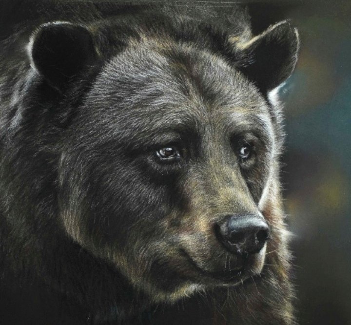 Медведь - оригинал