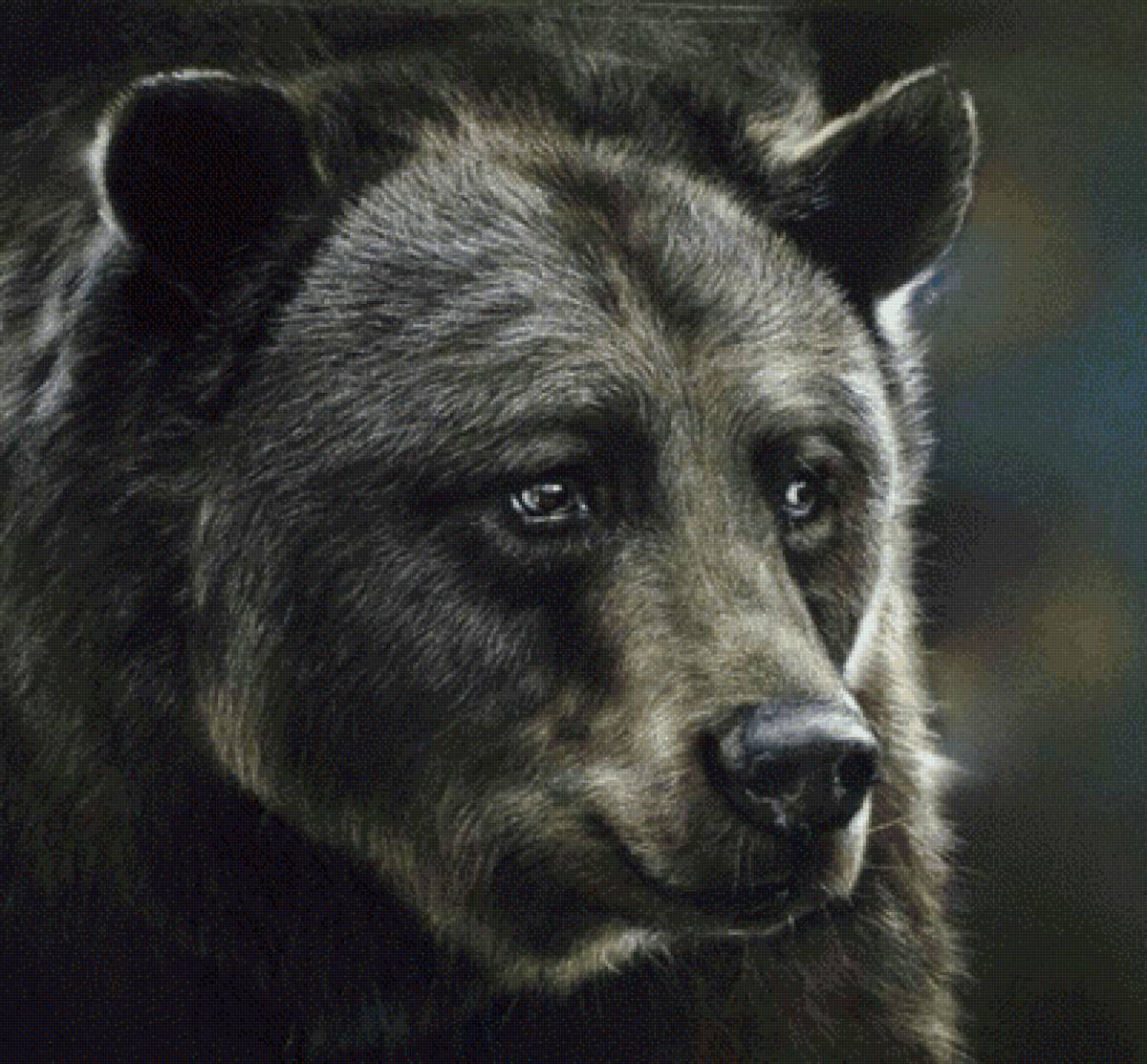 Медведь - предпросмотр