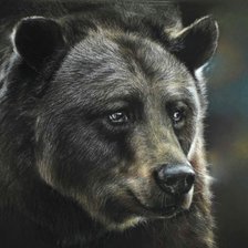 Схема вышивки «Медведь»