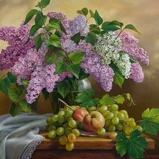 Схема вышивки «6031»