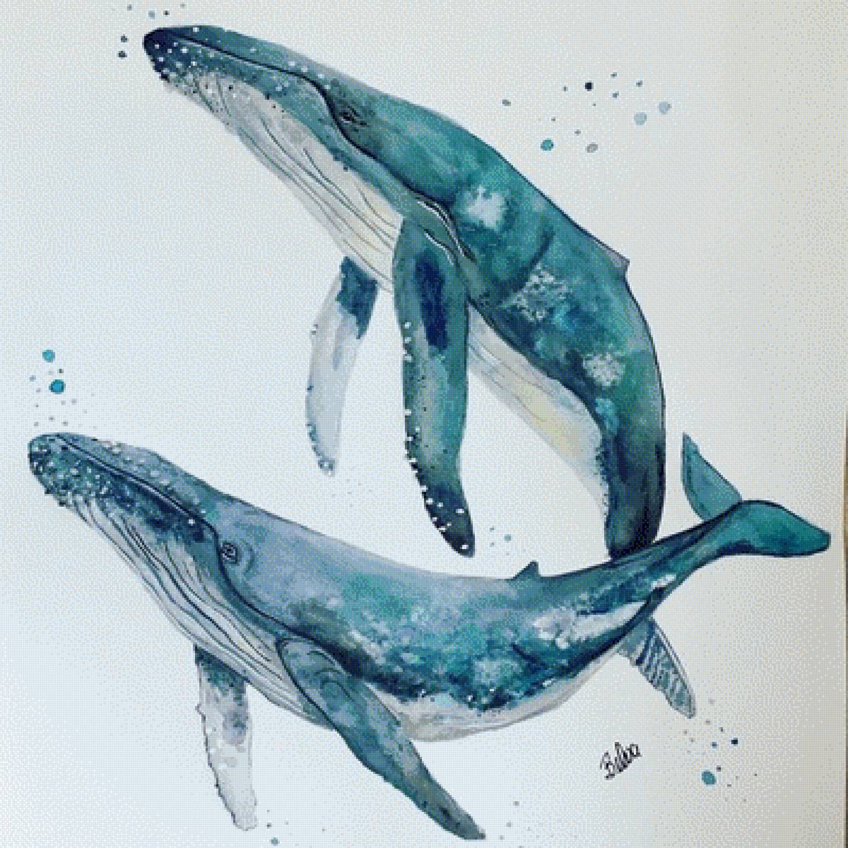 Пара китов - море, киты, пара китов, пара - предпросмотр