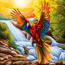 Схема вышивки «Попугай»