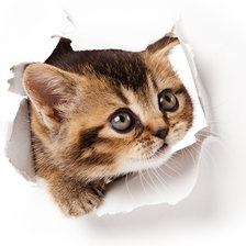 Схема вышивки «№2801861»