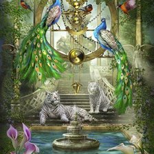 райский сад