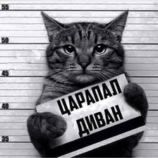 Схема вышивки «№2802893»