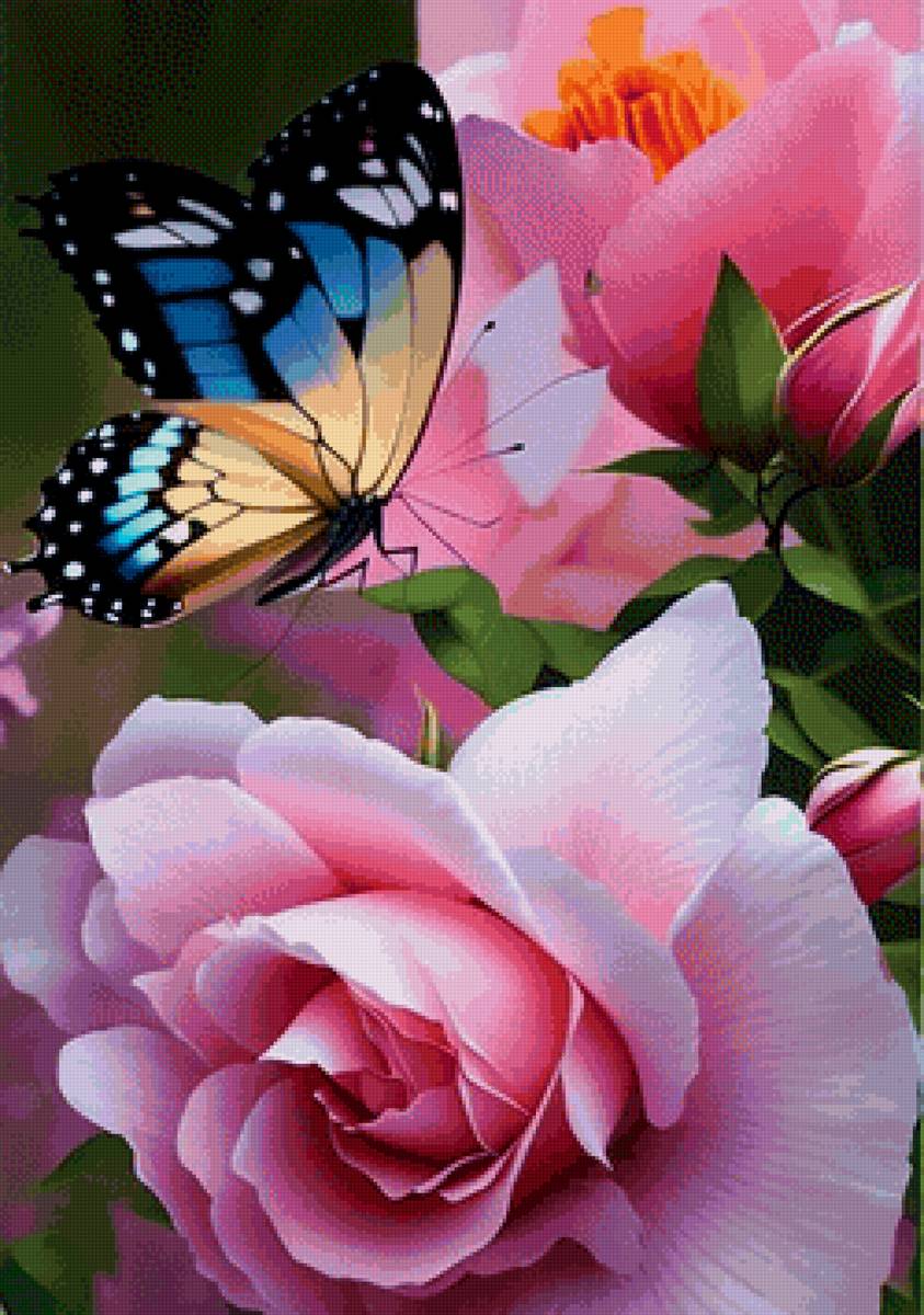Бабочка и роза - бабочки - предпросмотр