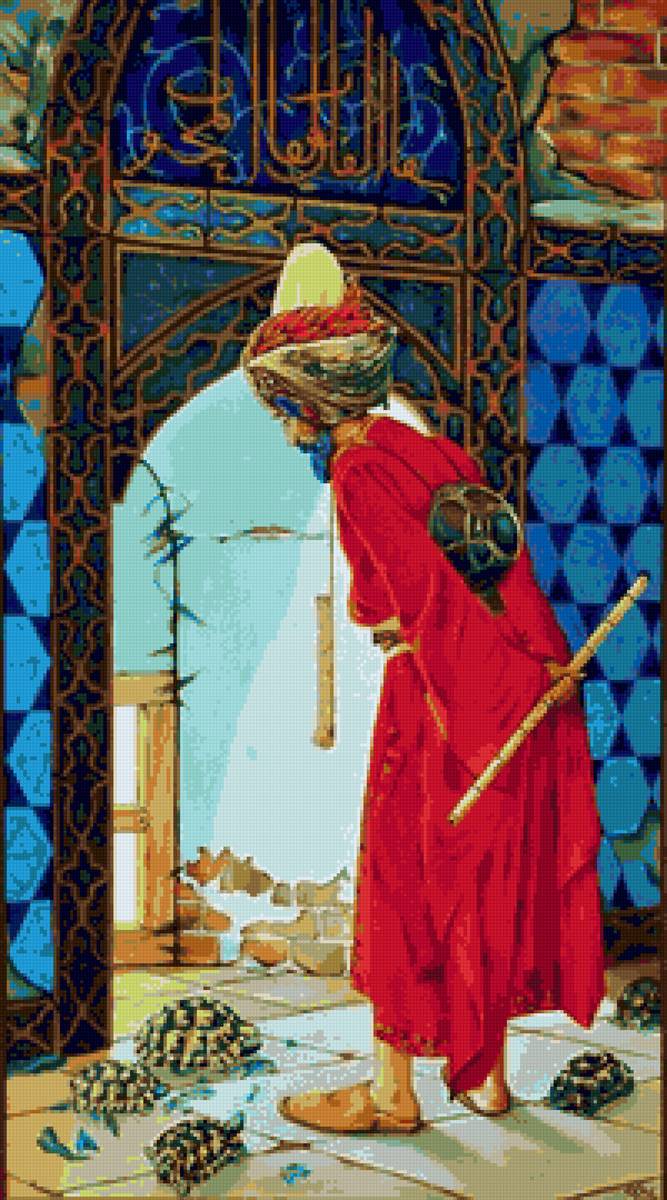 En medio de tortugad - предпросмотр