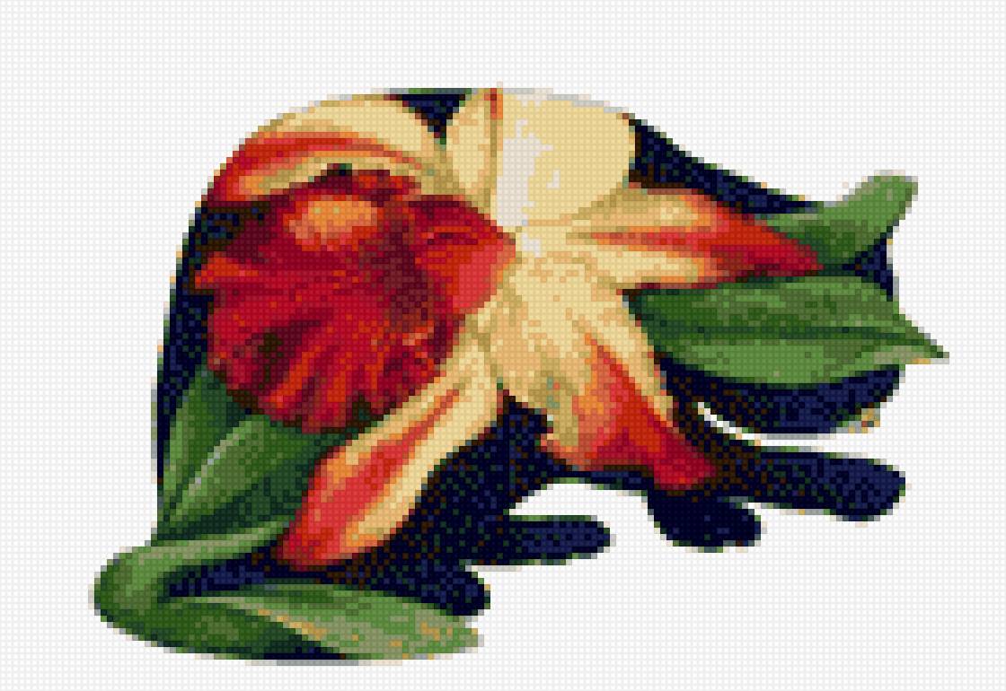 Gato orquídea - предпросмотр