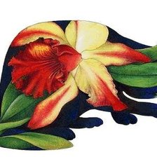 Схема вышивки «Gato orquídea»