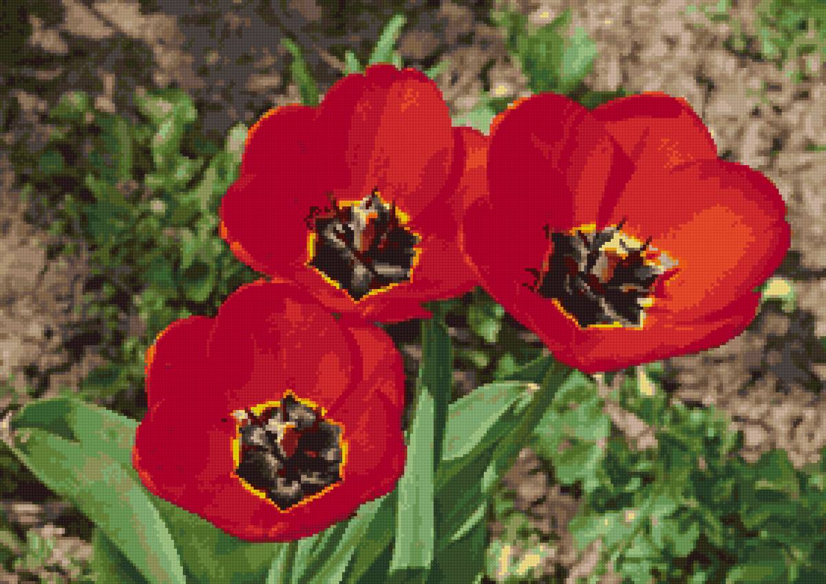 №2804457 - предпросмотр