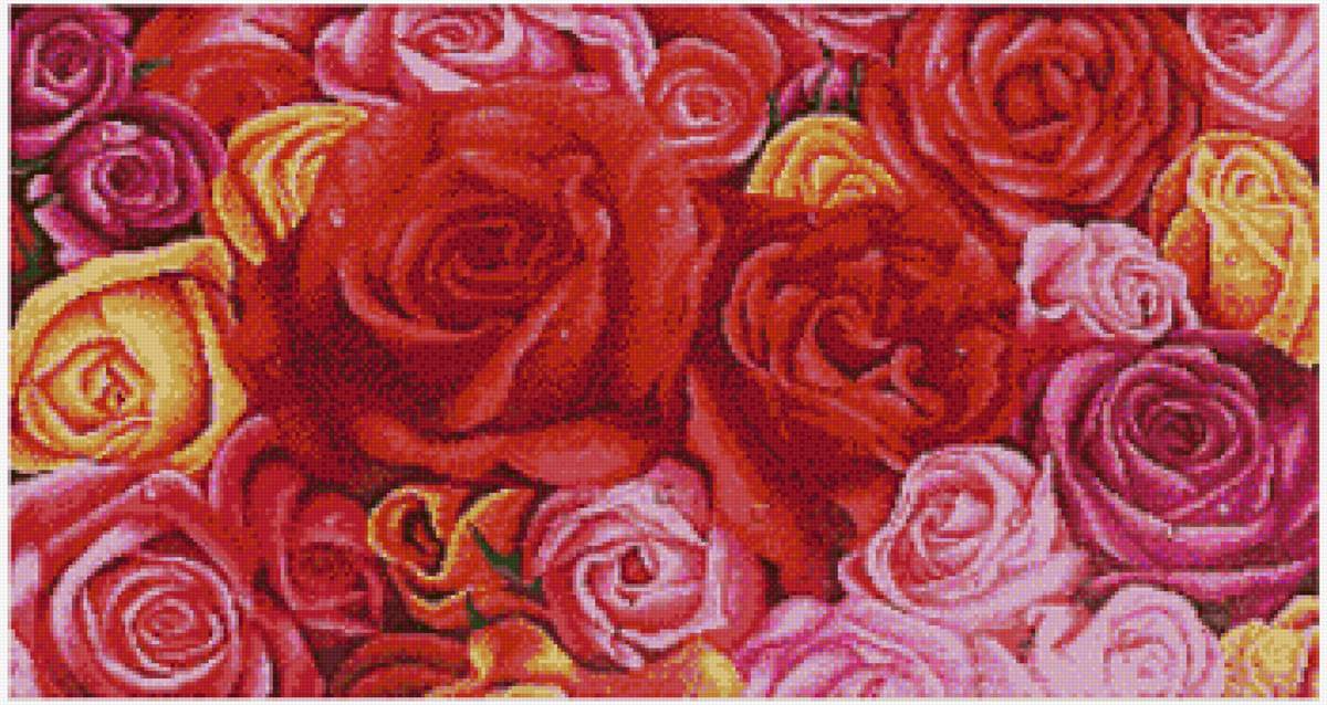 Hoa hồng - предпросмотр