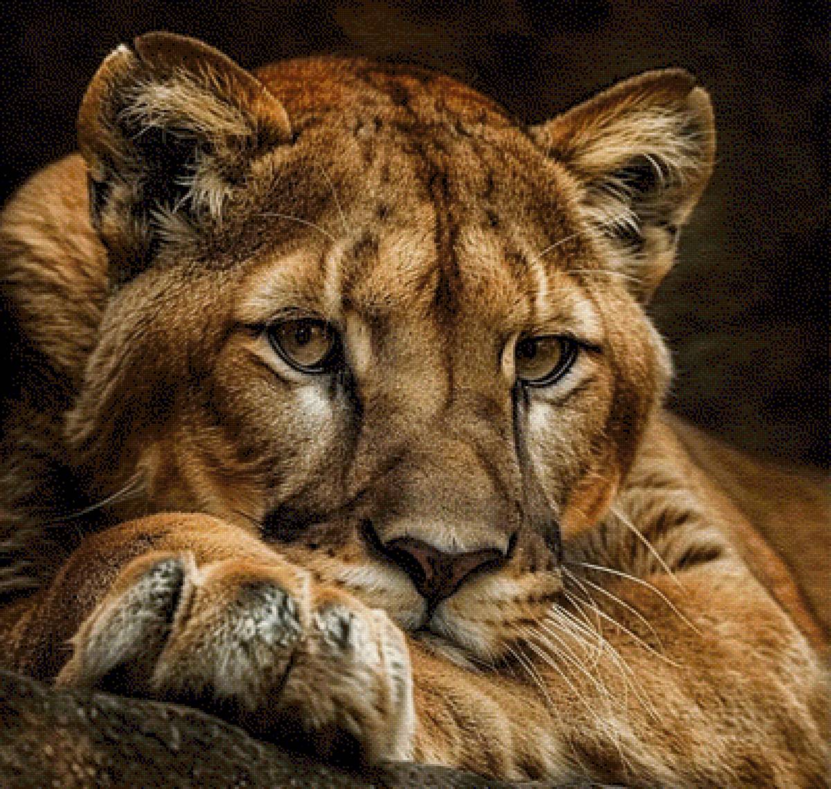 №2805780 - картина. - предпросмотр