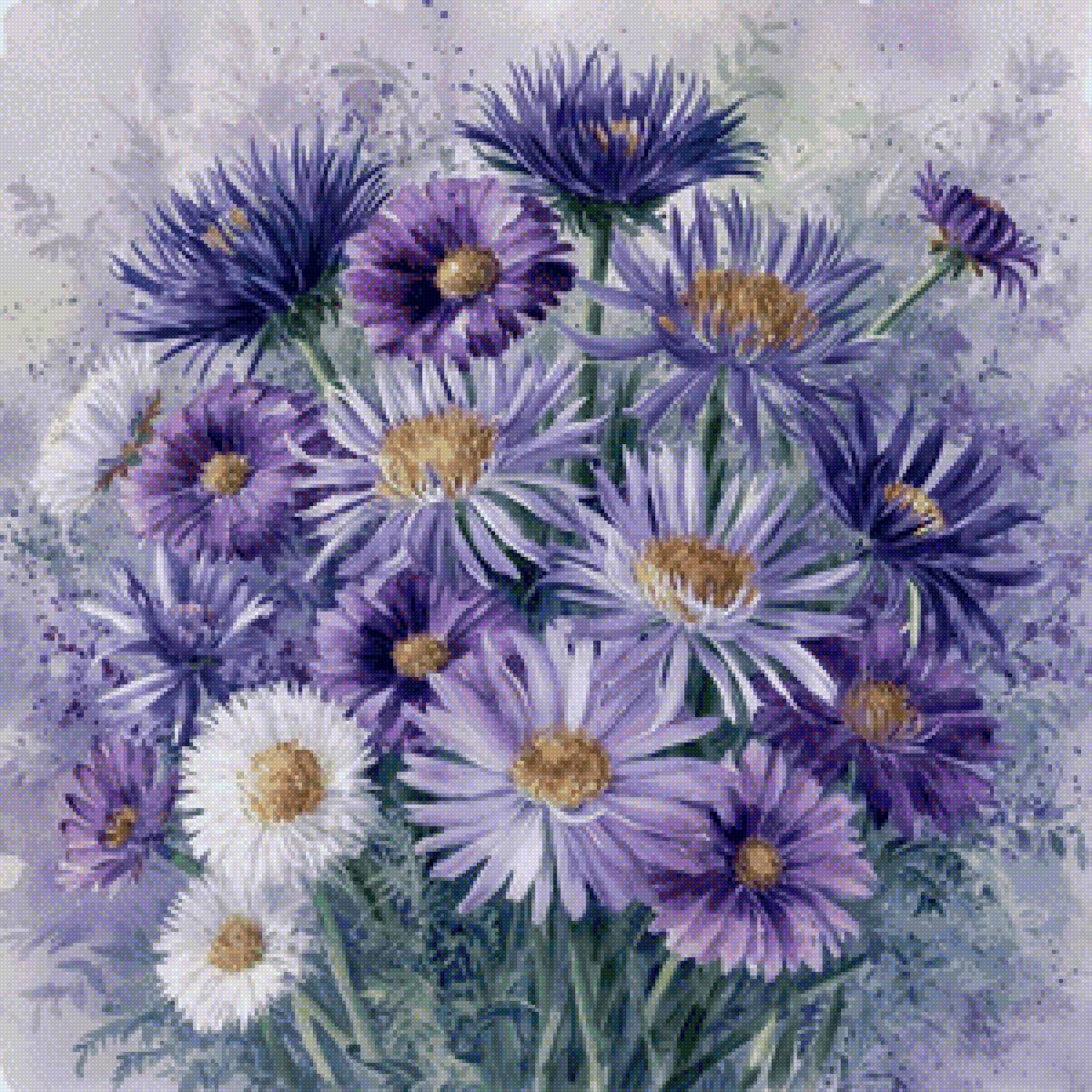 Астры - цветы, астры - предпросмотр