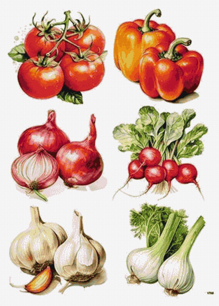 №2806038 - предпросмотр