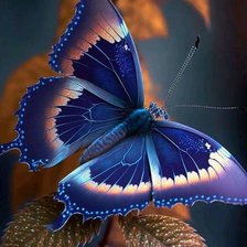 Схема вышивки «Бабочка»