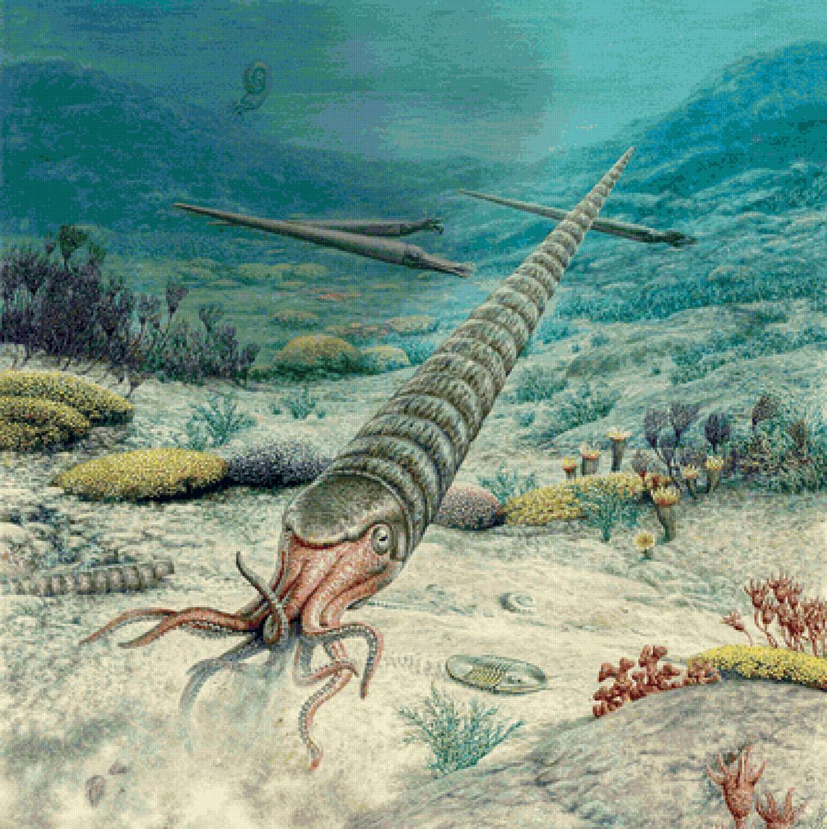 Наутилоидея Orthoceras - предпросмотр