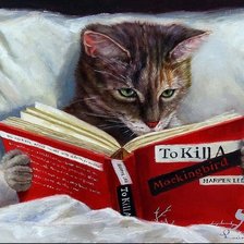 Схема вышивки «Кот учёный»