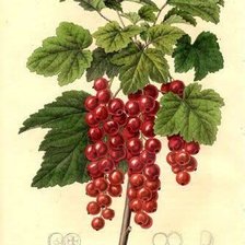 Схема вышивки «№2806553»