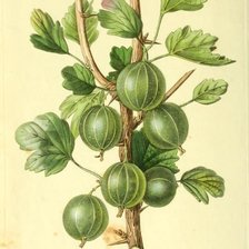 Схема вышивки «№2806554»