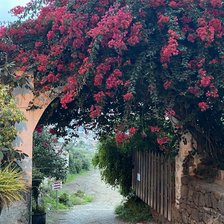 Схема вышивки «дворик на Тенерифе»