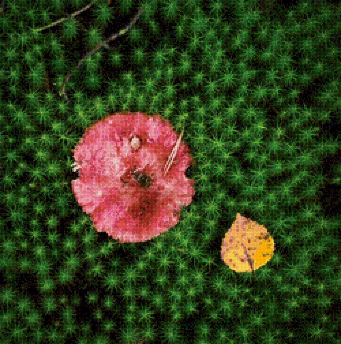 Осенний натюрморт с листом, хвощем и сыроежкой - грибы, осень, природа - предпросмотр