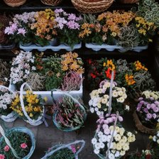 Схема вышивки «Садовый рынок»