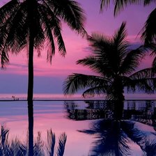 Схема вышивки «Пальмы»